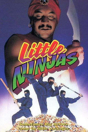 Little Ninjas 1993