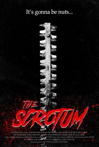 The Scrotum 2019