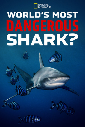 World's Most Dangerous Shark? 2021