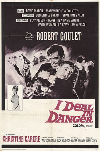 I Deal In Danger 1966